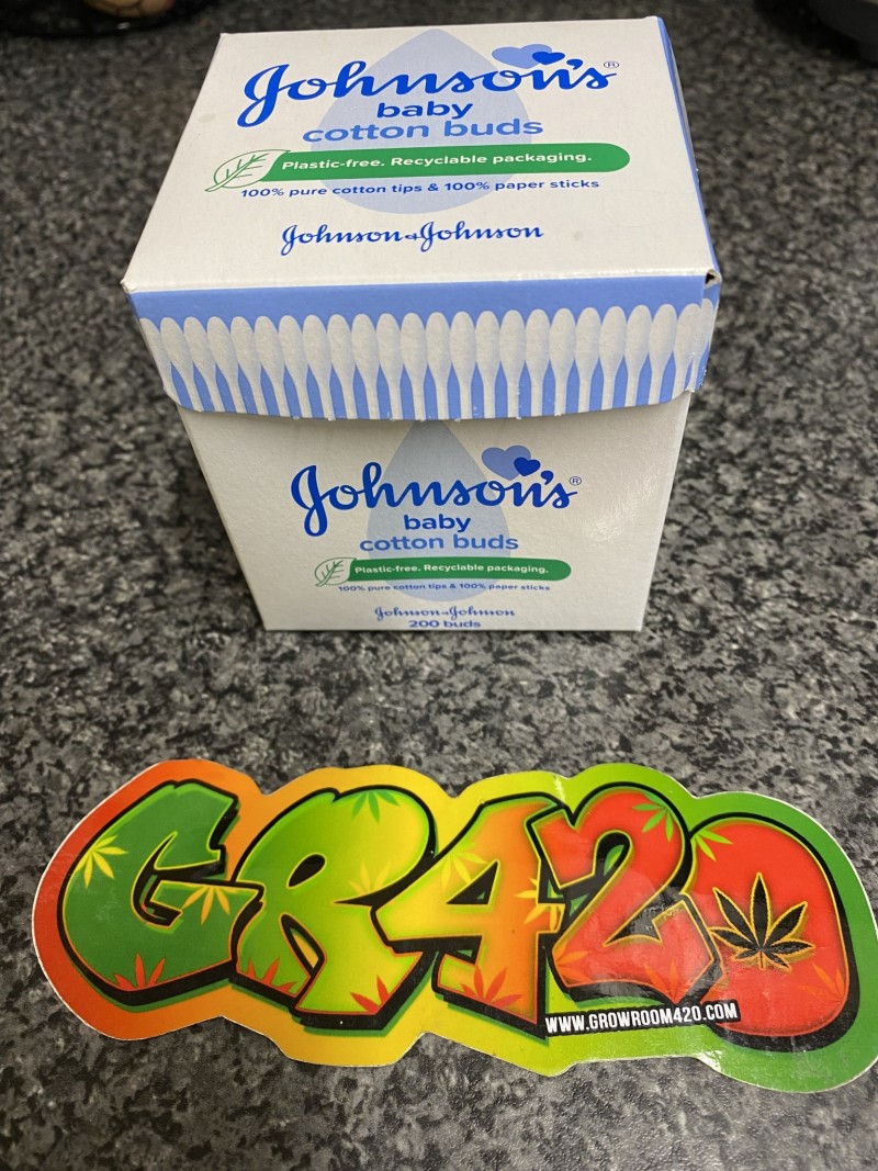 B11FD2BE-60C6-4BFD-BEE2-652224798542