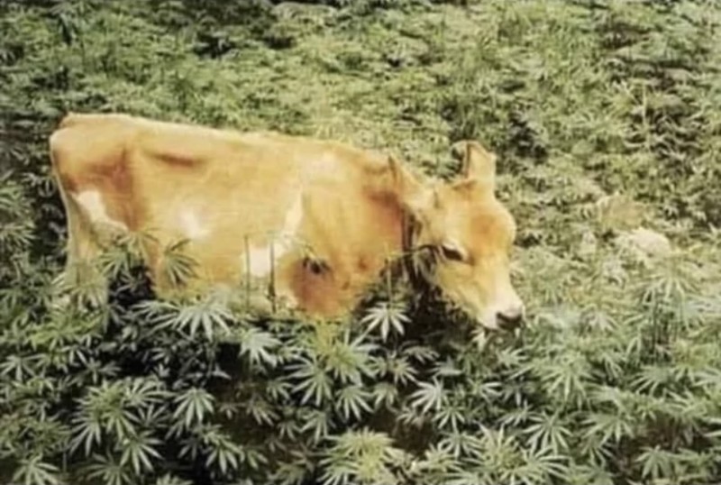 D1D432AF-7AC2-44F0-B189-50FFF6D4D2BE