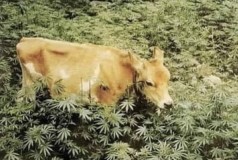 D1D432AF-7AC2-44F0-B189-50FFF6D4D2BE