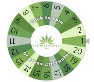 BackgroundEraser_20220901_180045901