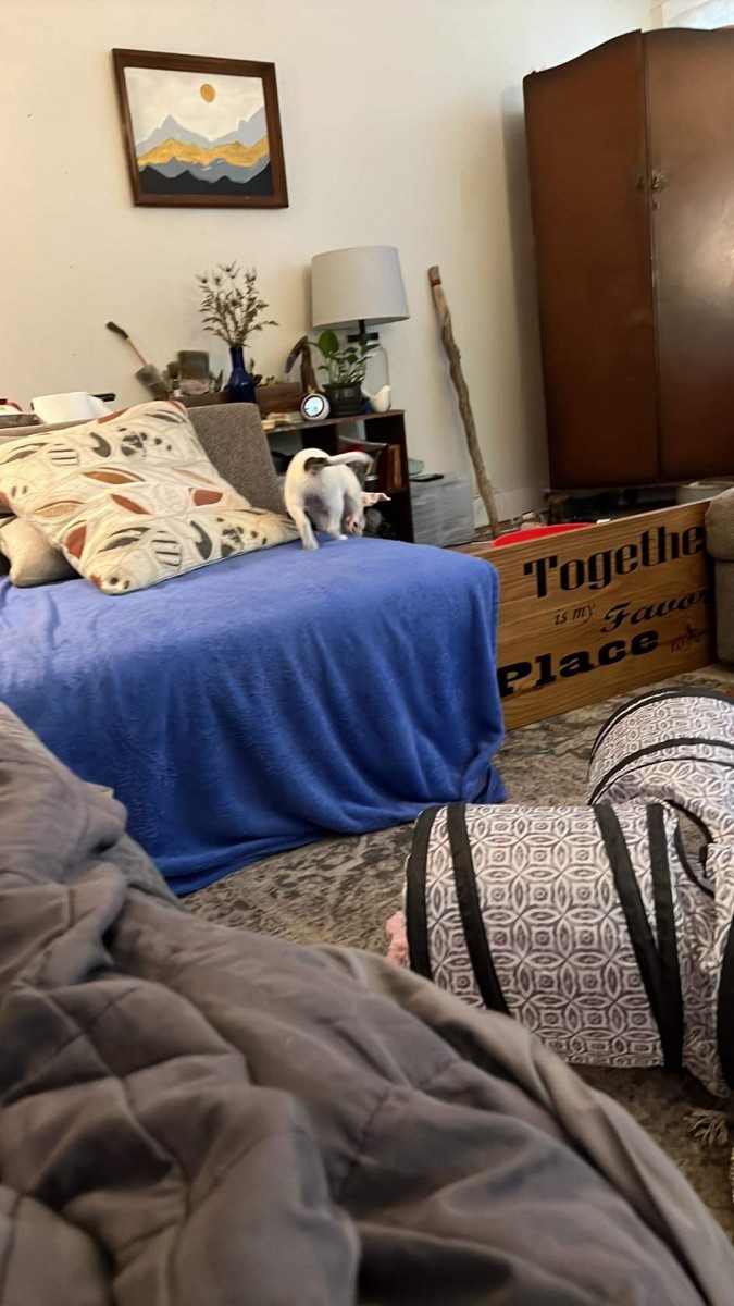 FC874B8B-458D-40CA-9AA4-B8A5DF2B8BD5