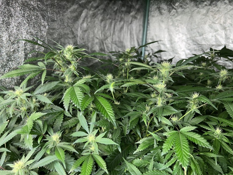 2B6BF4C6-0324-4E3F-B2A3-C219CBE6E0F5