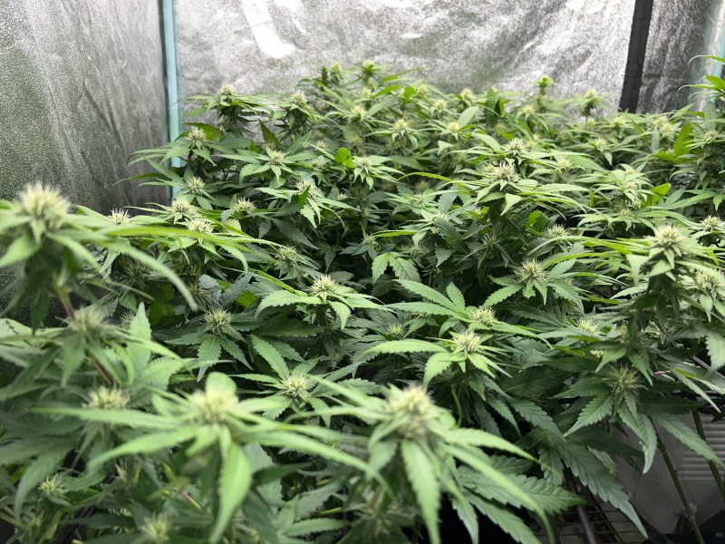 00BFF237-8AFC-442B-8E89-F7DA7ED3C2BB