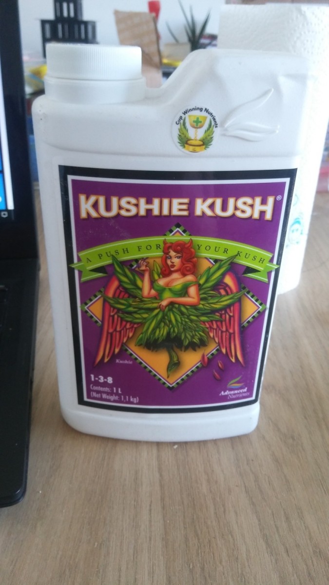 kushie kush