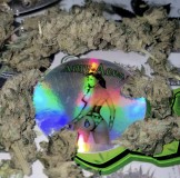 3D462FA8-7533-48C6-BD78-BB86C3A33267