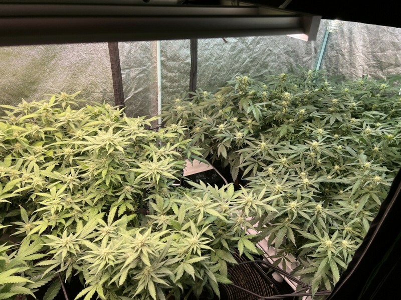 7E293A26-0BB1-4BDD-922C-A893B949E15E