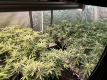 7E293A26-0BB1-4BDD-922C-A893B949E15E