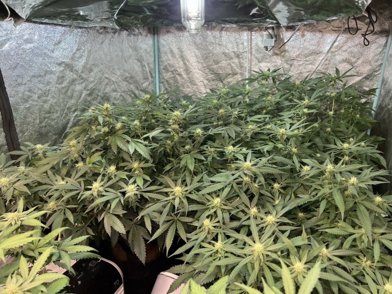 320A159B-325D-4929-894D-F0EA7F81E55D