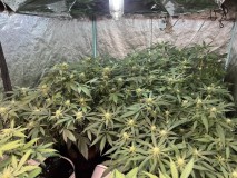 320A159B-325D-4929-894D-F0EA7F81E55D