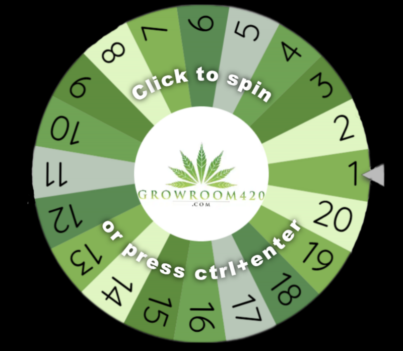 BackgroundEraser_20220907_084451341