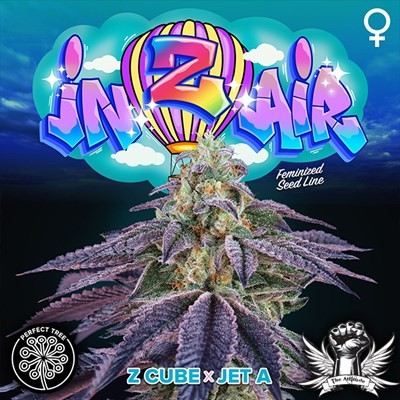 attitude-perfecttree-3inzair_400x400