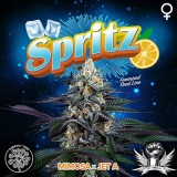 attitude-perfecttree-3spritzfem_400x400