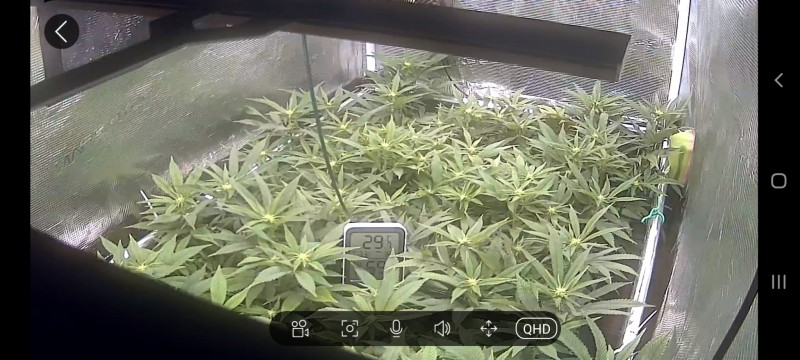 Screenshot_20220905-230906_CloudEdge