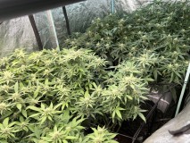 5FE49F90-666A-44A0-97C1-E0E772D9BC2C