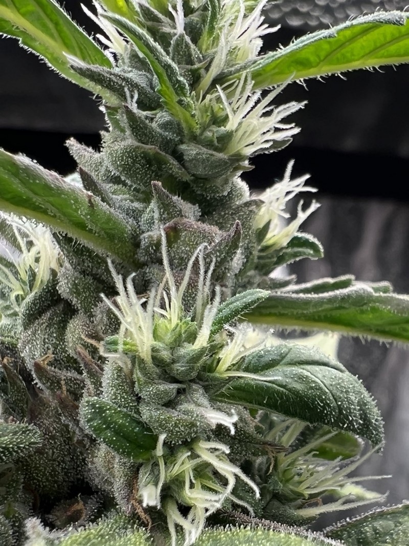 835B1DBE-8C31-4F6D-A332-A407215D3A8C