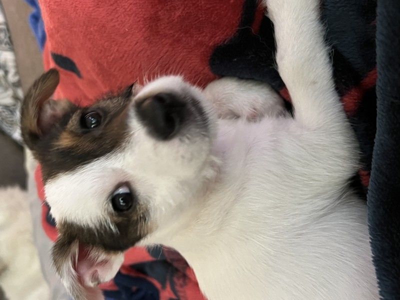 715A4D52-DC5C-4A17-8F9D-DECBD7ABD93A