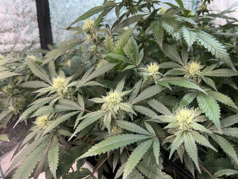 4C2B4E93-34D6-4FFE-AF43-E1D67BAC235E