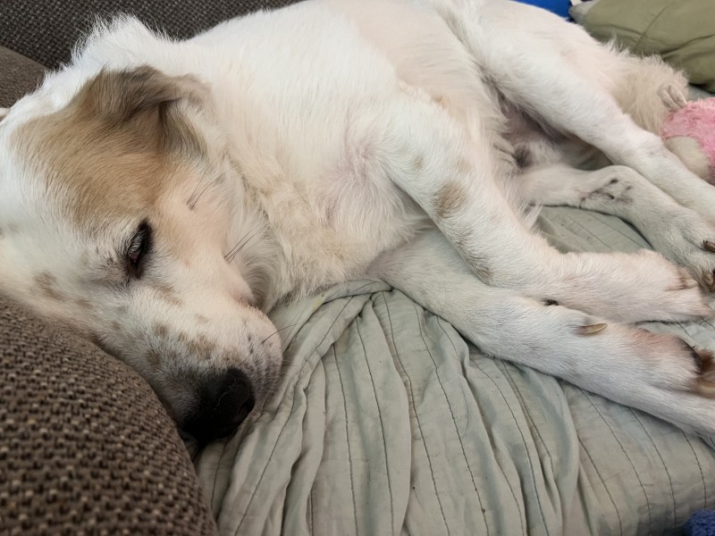 387A8406-7697-4274-81AB-76B0D75092E4