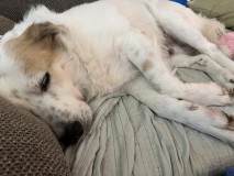 387A8406-7697-4274-81AB-76B0D75092E4