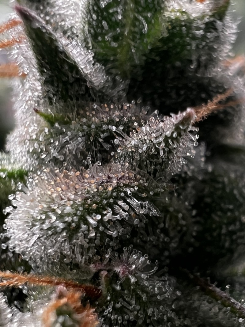 9A6DD78B-E436-4772-B9C8-F9153597E3F1