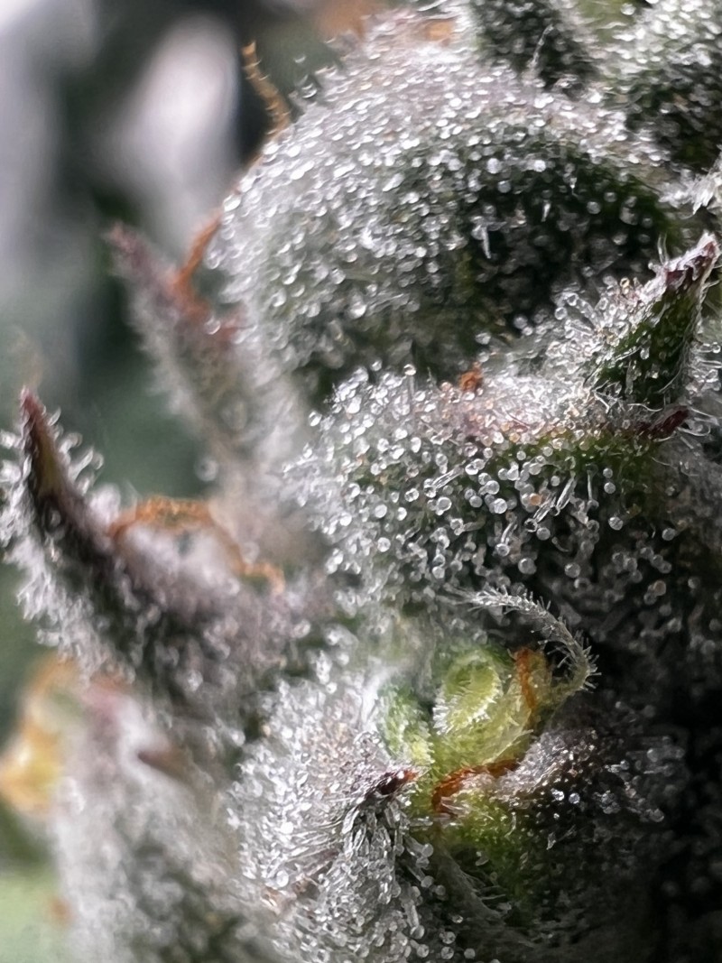 EA01B81A-66EE-4F3A-82A8-FA728621BFAE