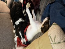 B5FD2974-46D0-4D35-B921-59F2D0B4B6E8