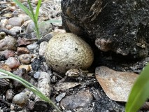 096A97CF-33F8-43F0-AEC8-87ED8D23575E