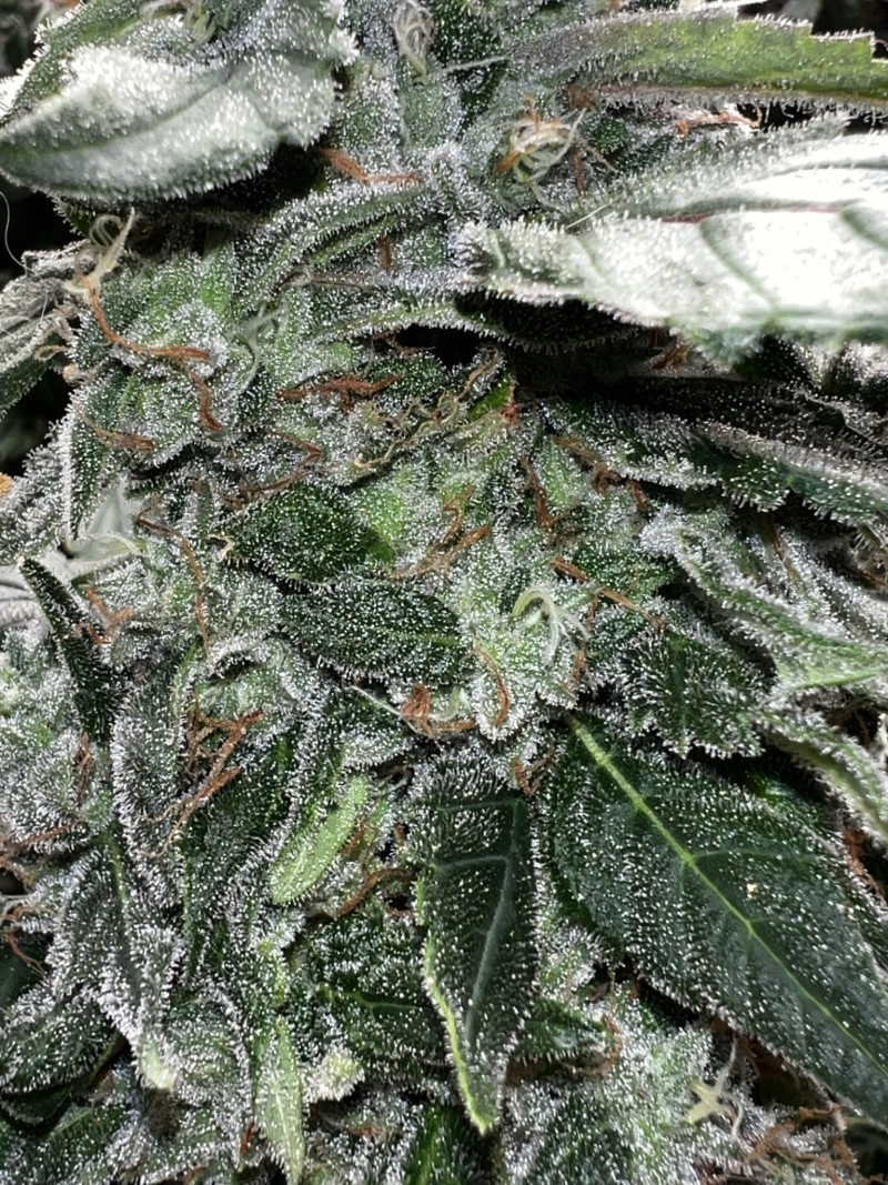 2E060519-5F04-4F2D-A3B1-FB05F486386C