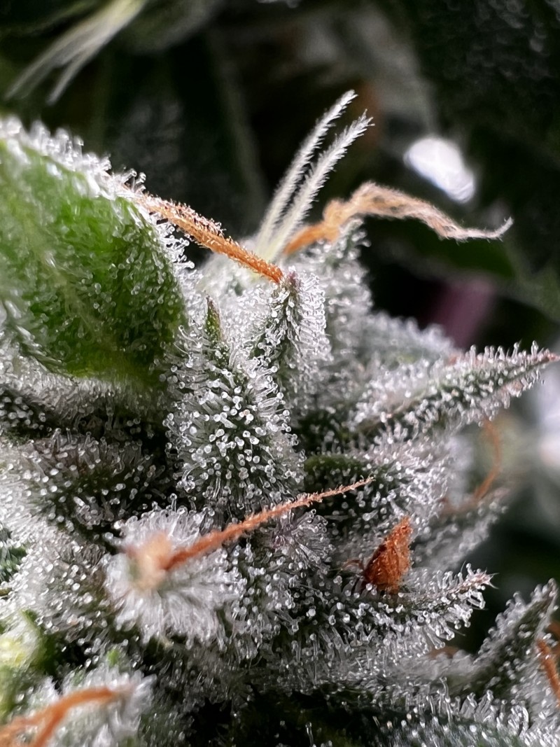 5FFE74BD-E2F3-420F-9D57-02A078E830BB