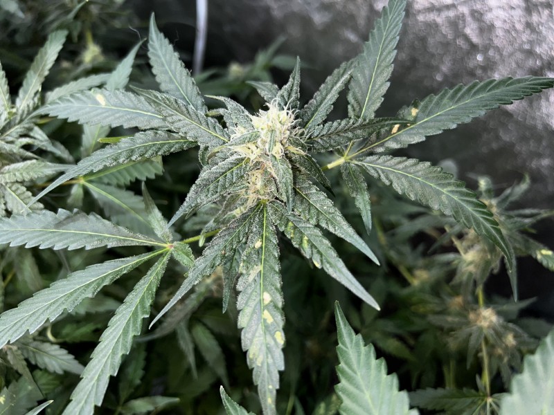 F81F26BD-D1FA-4CF5-AB7E-35BAA3CF0C39