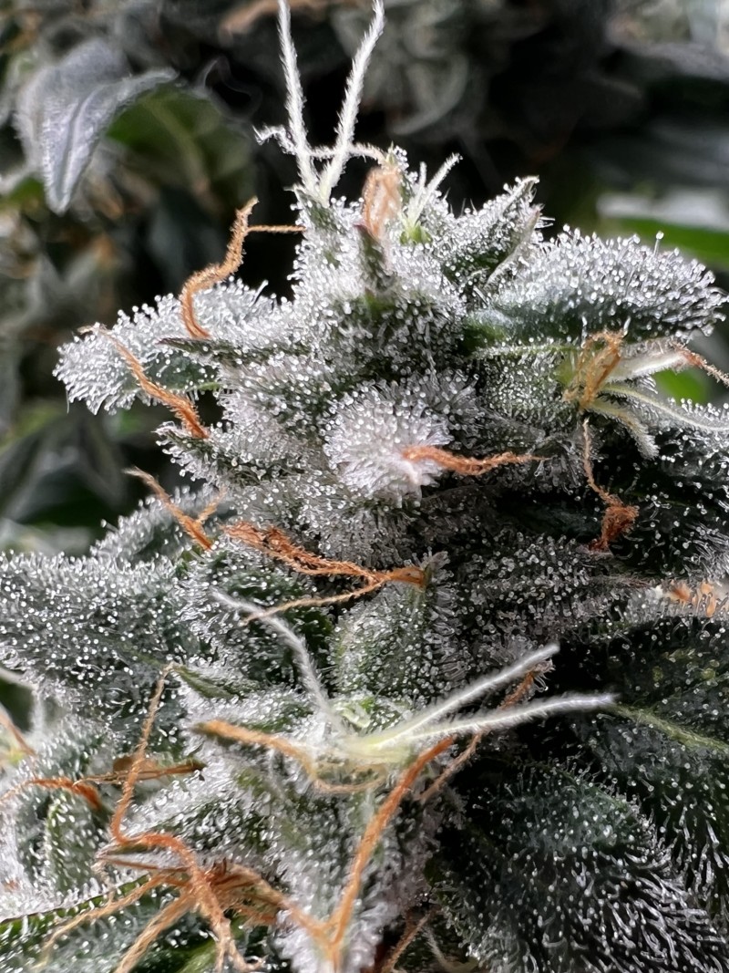 64652ED4-CDEC-4D6F-B9E5-F1D4D8301597