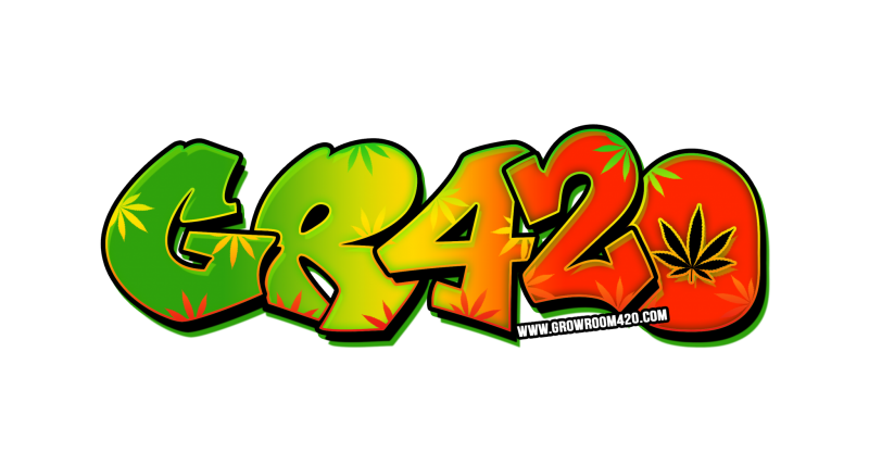 rasta colours grafiti