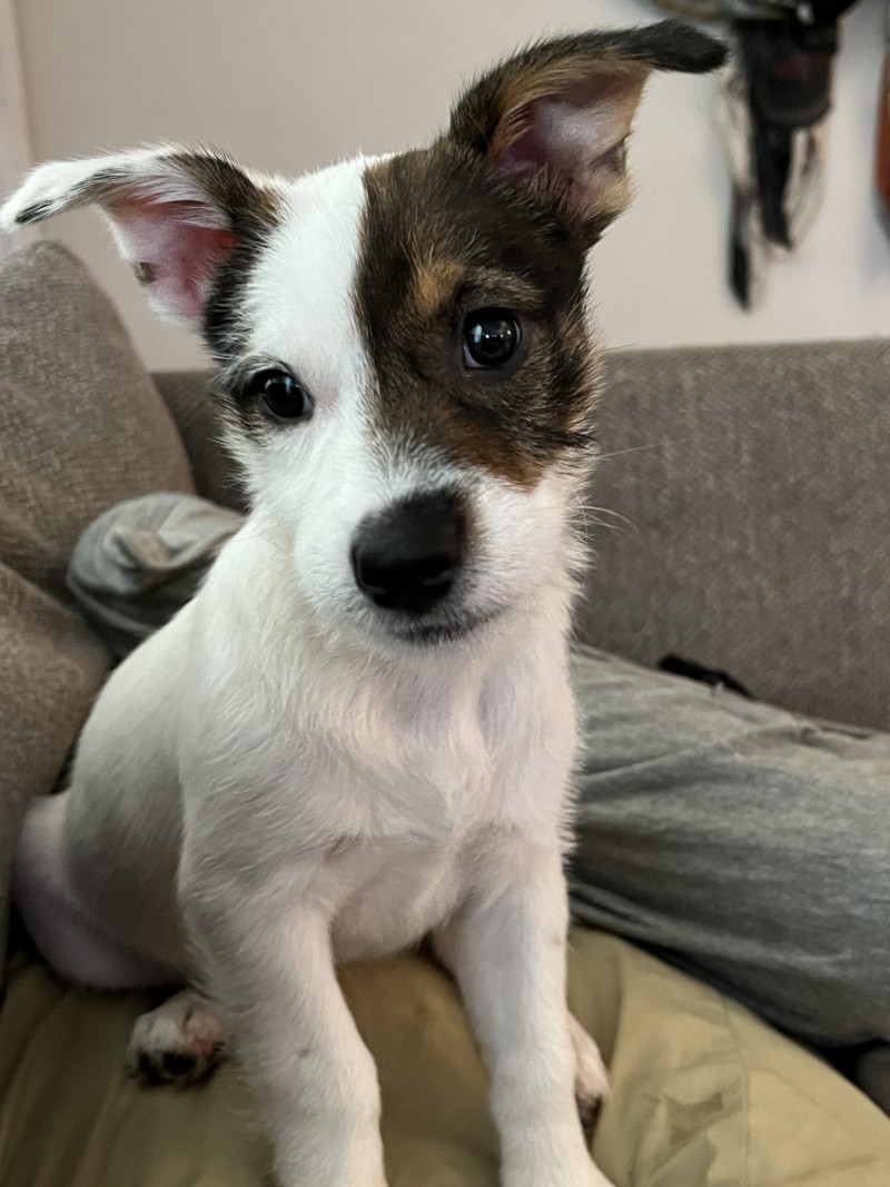 5F8F1D32-C3DC-44C8-B607-6FD61238467D