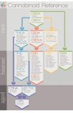 Break down of chemicals and how they are achieved