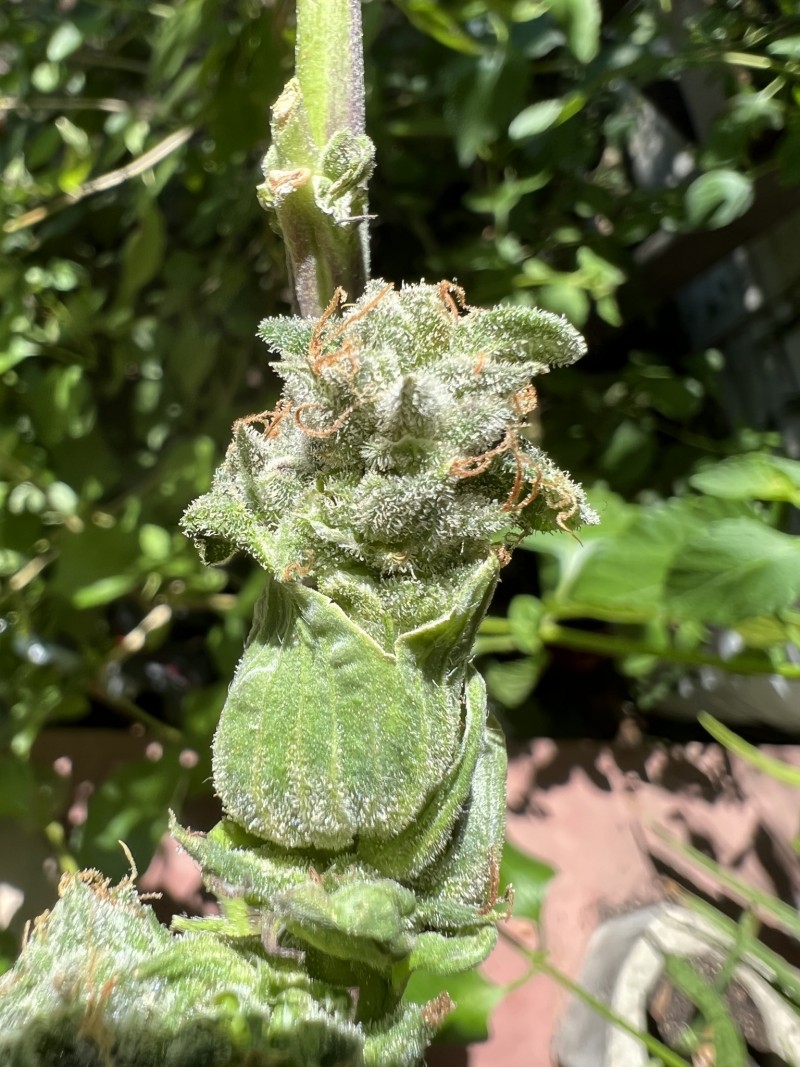 58A8E39E-68F2-401E-A3D0-28BF74A2536A