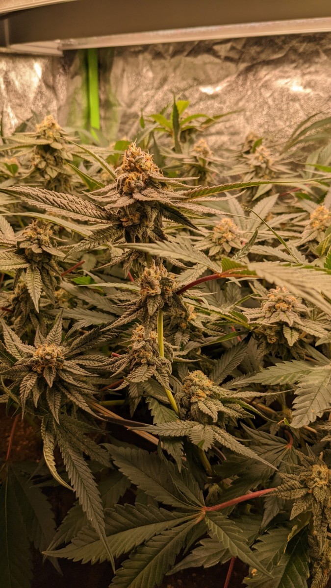 PXL_20220923_131759243