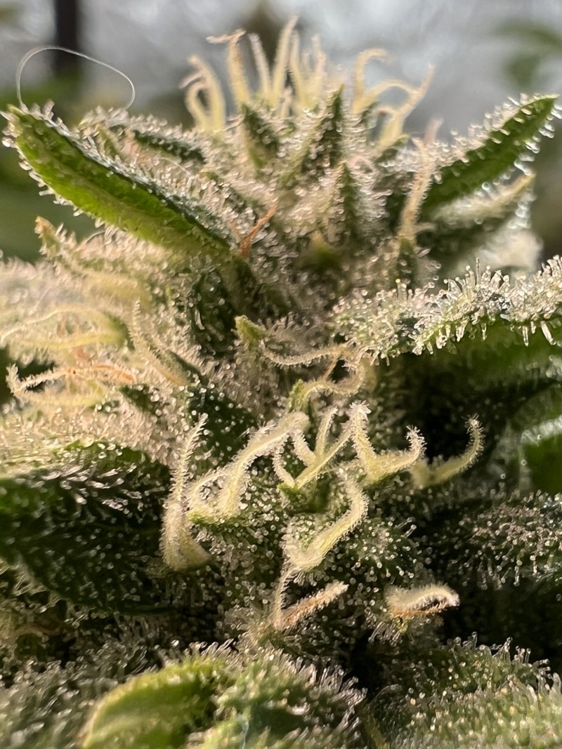 2D06F7D9-73A7-4299-93CC-4A6A98F736EC