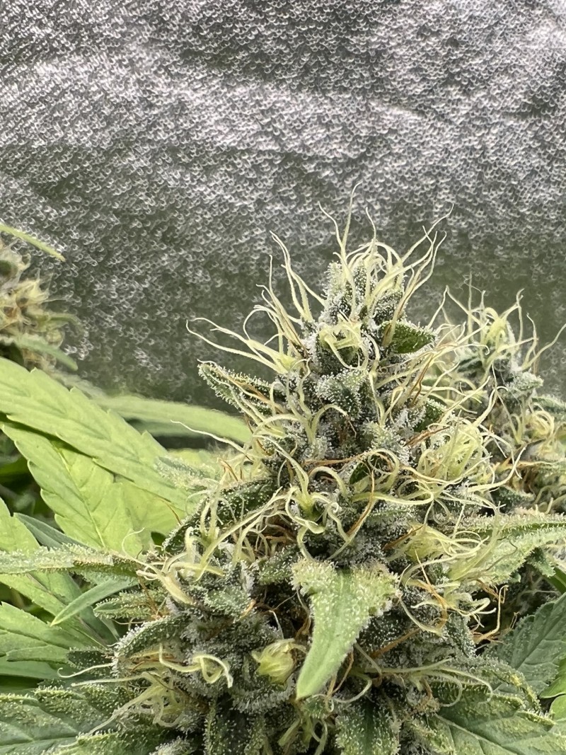 D3FB83CC-EB7A-4788-9977-1D8091CB1A63