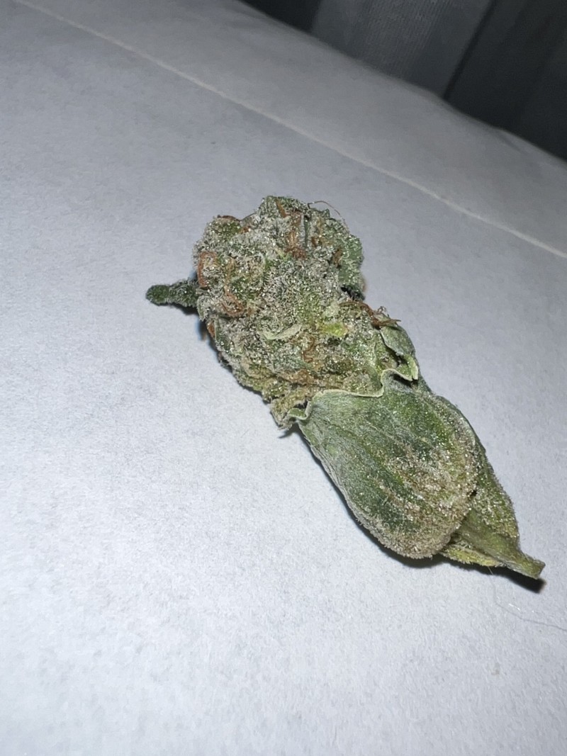 1FBB8487-E0BF-469F-8D96-3A07E623A937