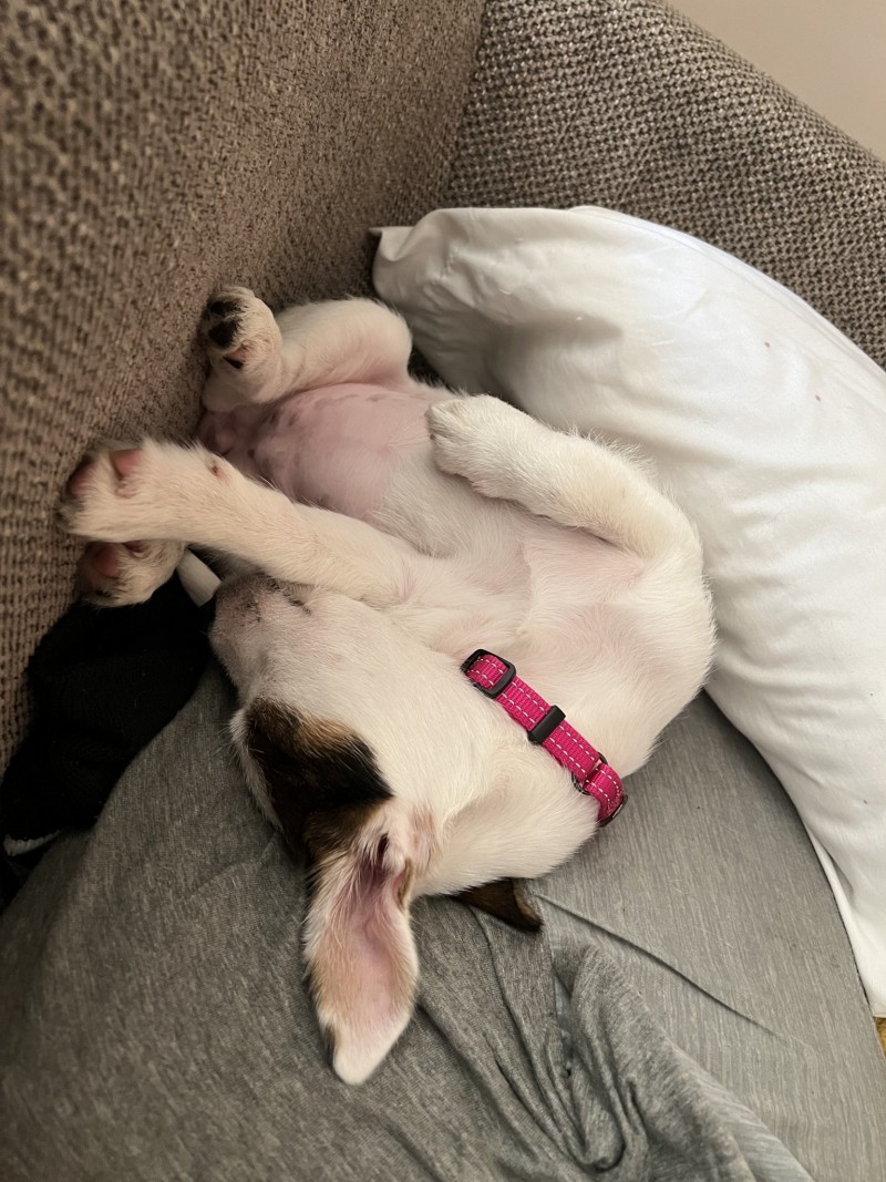 BE0B1629-832C-44E0-952C-12B52D3FD8D7