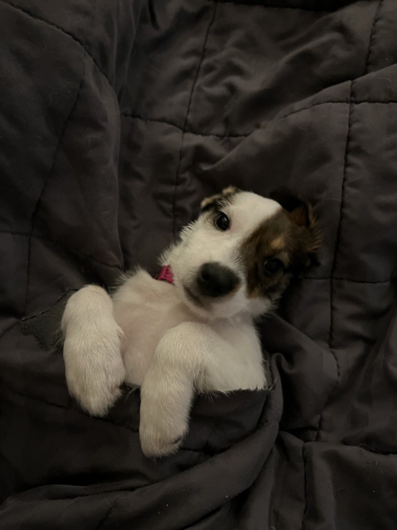 AA838790-0F09-4AFC-BC11-F3E7050B6208