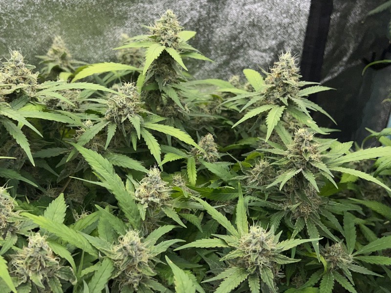 7C2F324F-26E6-4128-8120-E51C5073C03E