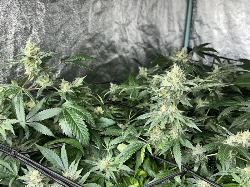 582F90A9-E568-4BFD-B834-BEA01BEBB9B0