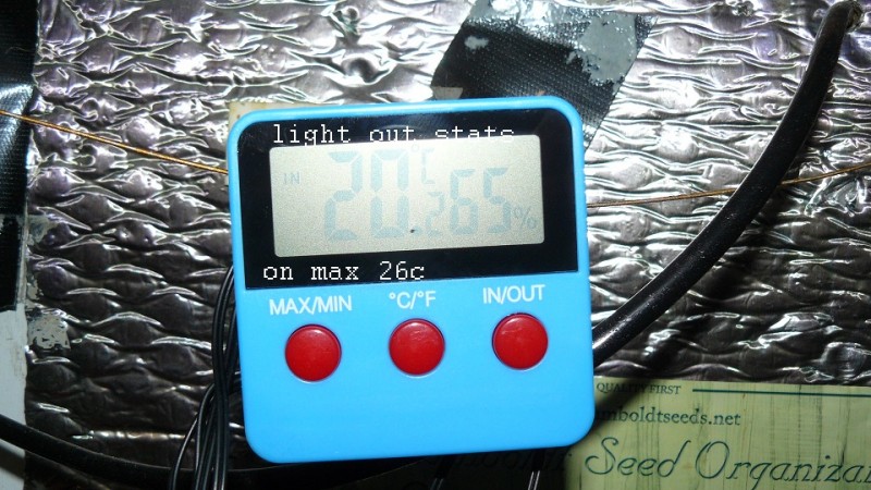 drobes cacti 25 9 22 015