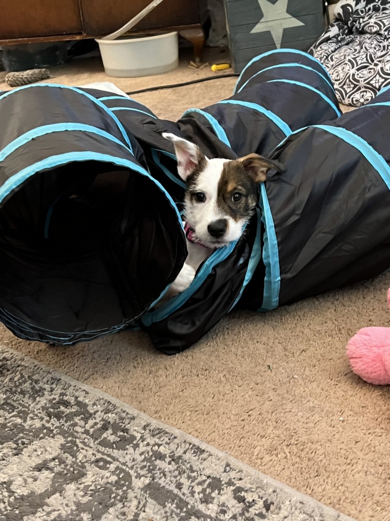 642CAD04-642A-420F-AE36-6CA2067EC89F