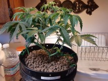 20220927_081142 - Copy