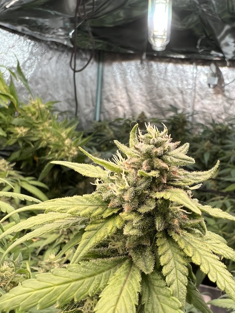 BB299220-A142-48A2-B652-C314B26963DC