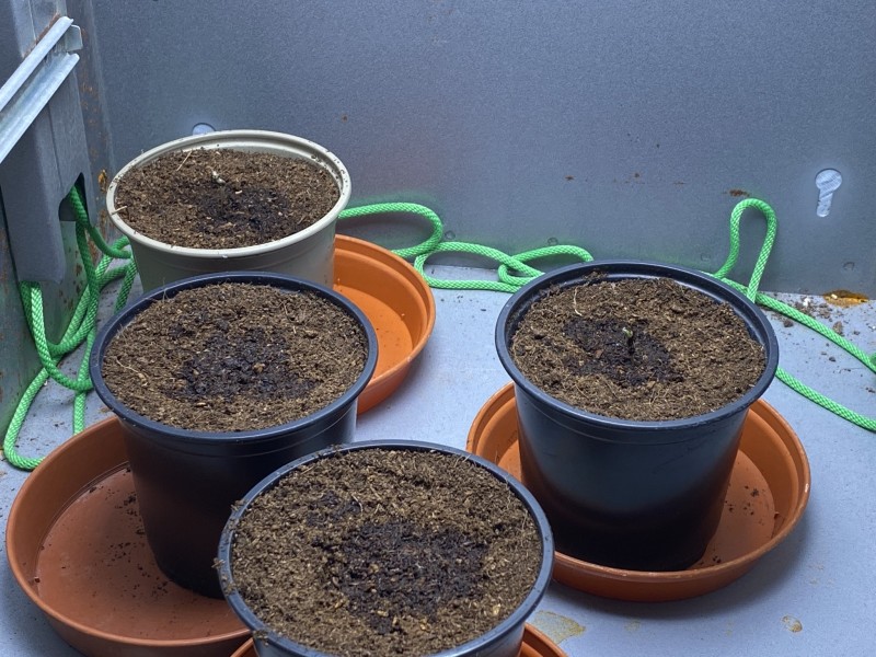 10843ACF-EBBB-4681-90FF-348C2D89F25D