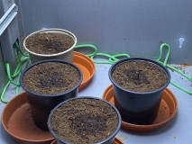 10843ACF-EBBB-4681-90FF-348C2D89F25D