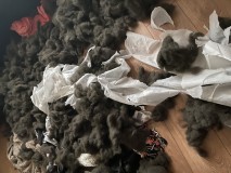 FEB04FCB-9A26-42E8-9E7D-6B544872E8ED